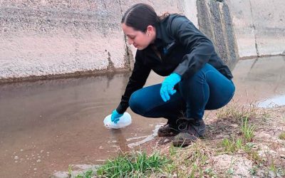 Atienden Estado y autoridades municipales derrame de material asfáltico en el Río Satevó